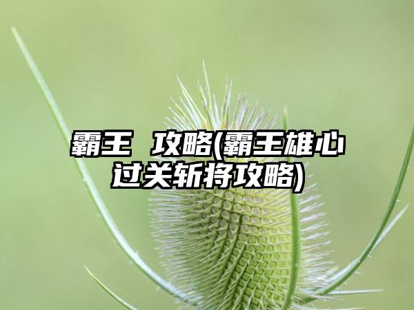 霸王 攻略(霸王雄心过关斩将攻略)