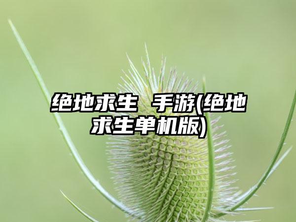 绝地求生 手游(绝地求生单机版)