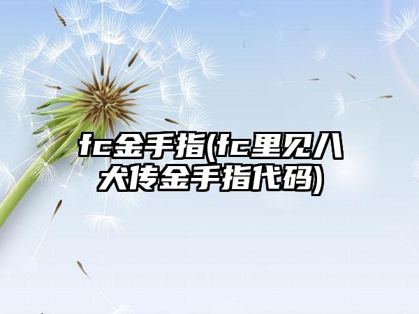 fc金手指(fc里见八犬传金手指代码)