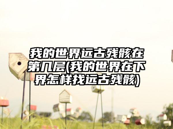我的世界远古残骸在第几层(我的世界在下界怎样找远古残骸)