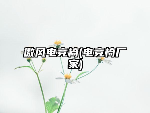 傲风电竞椅(电竞椅厂家)