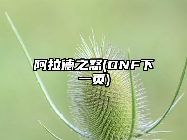 阿拉德之怒(DNF下一页)