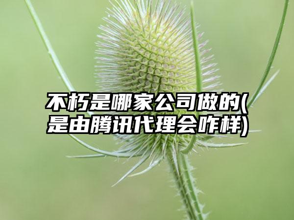 不朽是哪家公司做的(是由腾讯代理会咋样)
