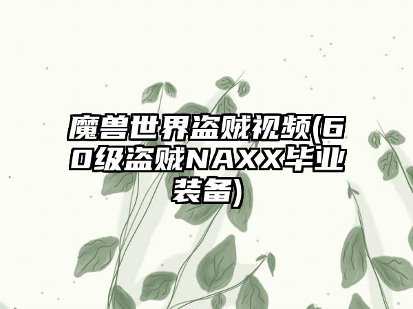 魔兽世界盗贼视频(60级盗贼NAXX毕业装备)