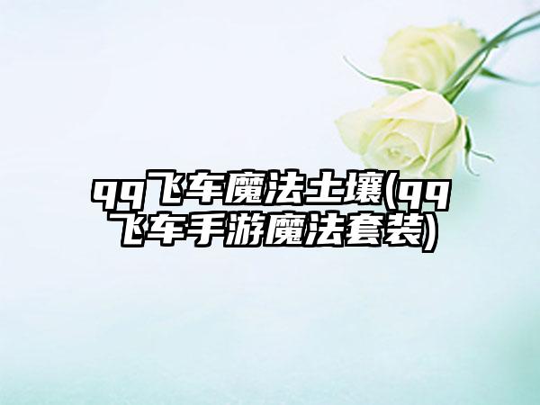 qq飞车魔法土壤(qq飞车手游魔法套装)