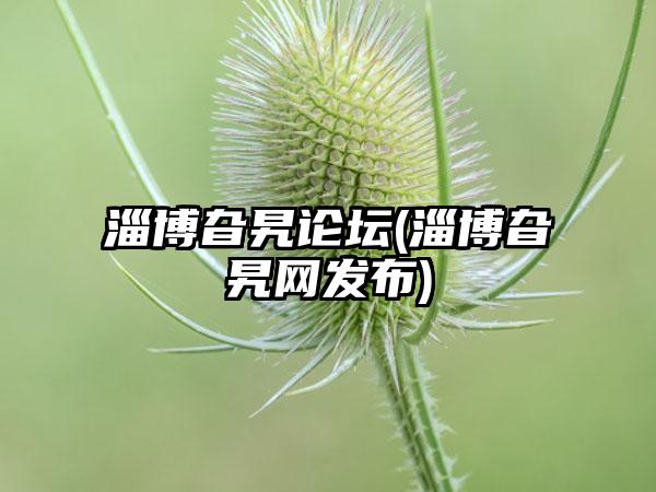 淄博旮旯论坛(淄博旮旯网发布)