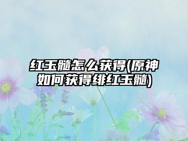 红玉髓怎么获得(原神如何获得绯红玉髓)