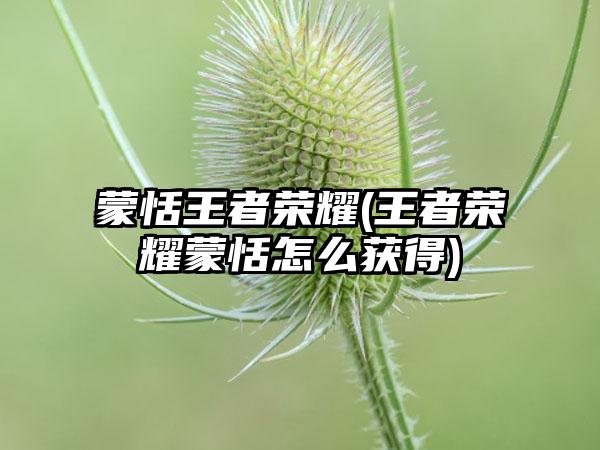 蒙恬王者荣耀(王者荣耀蒙恬怎么获得)