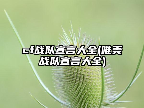 cf战队宣言大全(唯美战队宣言大全)