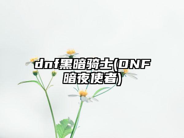 dnf黑暗骑士(DNF暗夜使者)