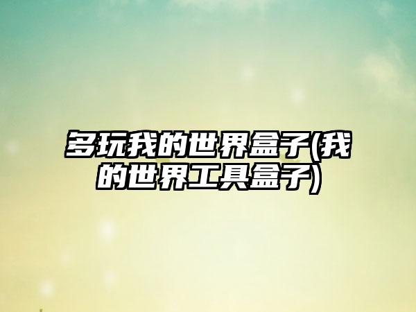 多玩我的世界盒子(我的世界工具盒子)