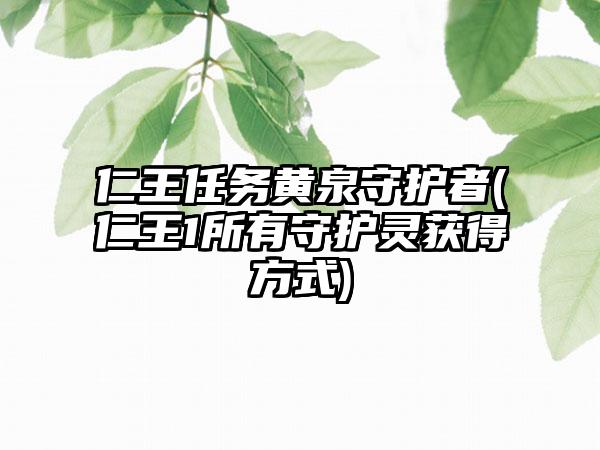 仁王任务黄泉守护者(仁王1所有守护灵获得方式)