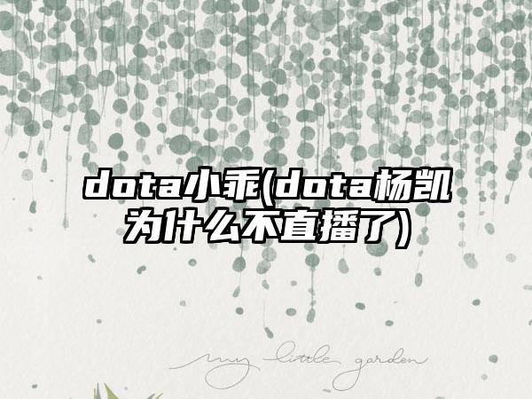 dota小乖(dota杨凯为什么不直播了)