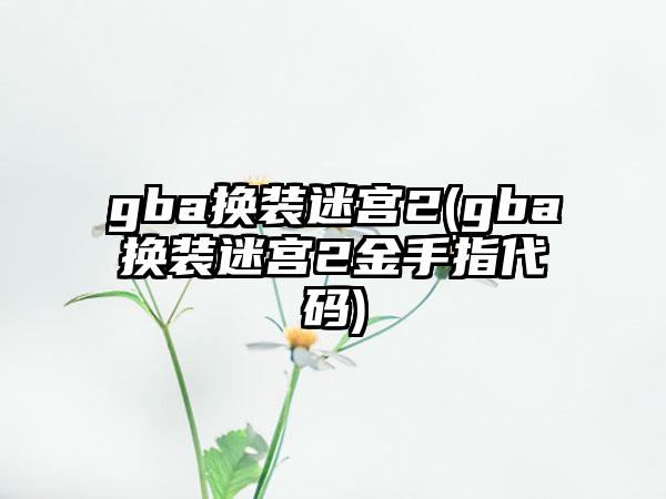 gba换装迷宫2(gba换装迷宫2金手指代码)