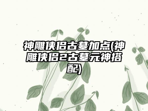 神雕侠侣古墓加点(神雕侠侣2古墓元神搭配)