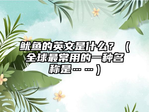鱿鱼的英文是什么？（全球最常用的一种名称是……）