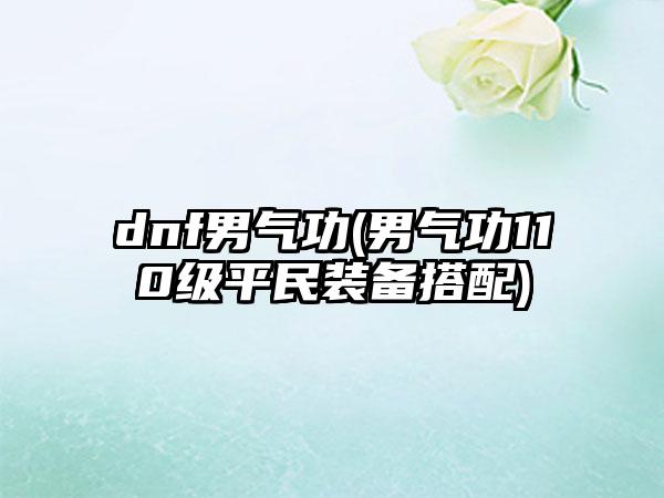 dnf男气功(男气功110级平民装备搭配)