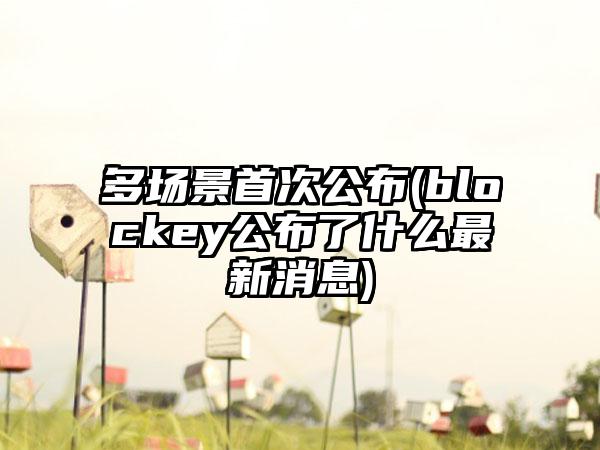 多场景首次公布(blockey公布了什么最新消息)