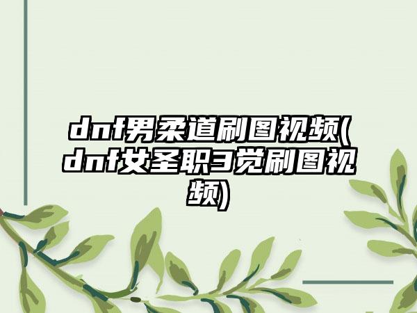 dnf男柔道刷图视频(dnf女圣职3觉刷图视频)