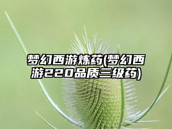 梦幻西游炼药(梦幻西游220品质三级药)