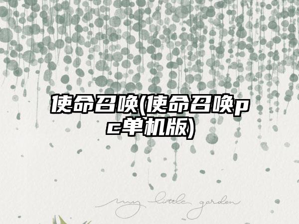 使命召唤(使命召唤pc单机版)