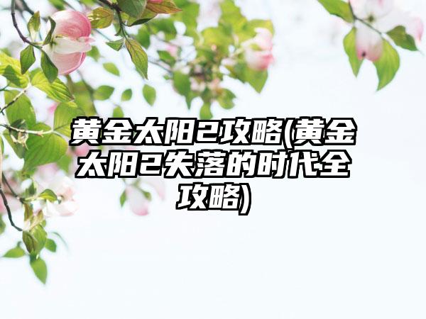 黄金太阳2攻略(黄金太阳2失落的时代全攻略)