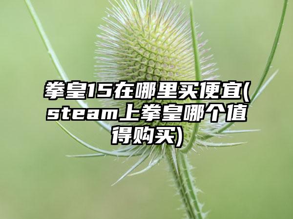 拳皇15在哪里买便宜(steam上拳皇哪个值得购买)