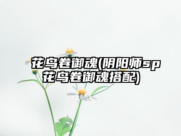 花鸟卷御魂(阴阳师sp花鸟卷御魂搭配)