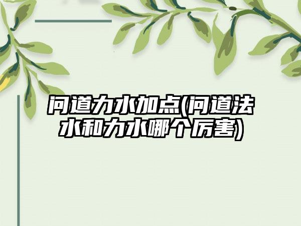 问道力水加点(问道法水和力水哪个厉害)
