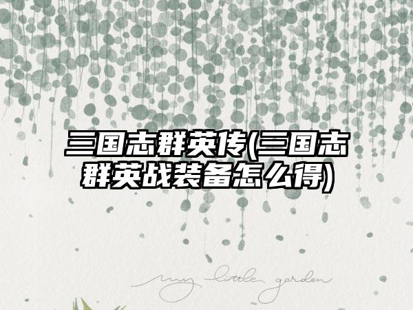 三国志群英传(三国志群英战装备怎么得)