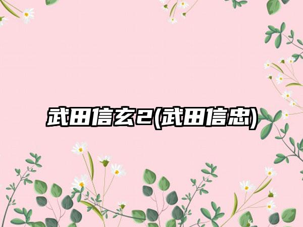 武田信玄2(武田信忠)