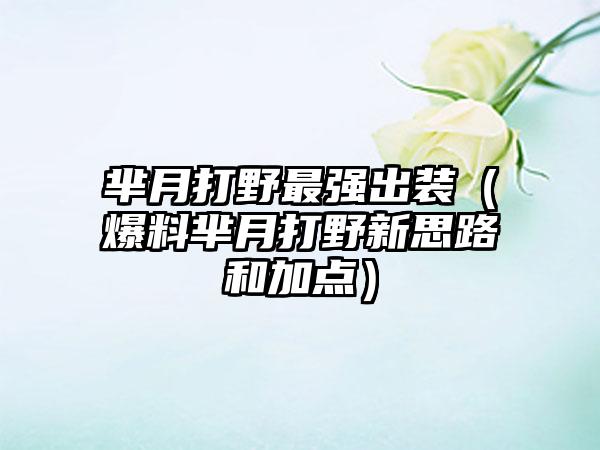 芈月打野最强出装（爆料芈月打野新思路和加点）