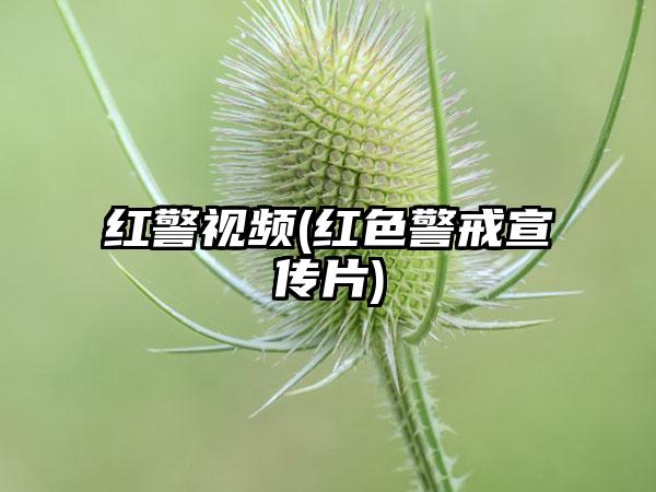红警视频(红色警戒宣传片)