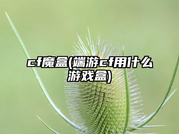 cf魔盒(端游cf用什么游戏盒)