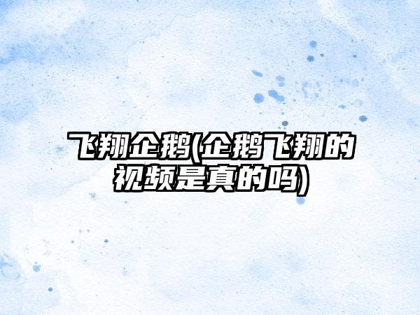 飞翔企鹅(企鹅飞翔的视频是真的吗)