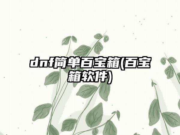 dnf简单百宝箱(百宝箱软件)