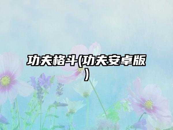 功夫格斗(功夫安卓版)