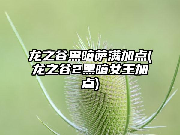 龙之谷黑暗萨满加点(龙之谷2黑暗女王加点)