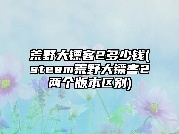 荒野大镖客2多少钱(steam荒野大镖客2两个版本区别)