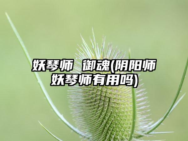 妖琴师 御魂(阴阳师妖琴师有用吗)