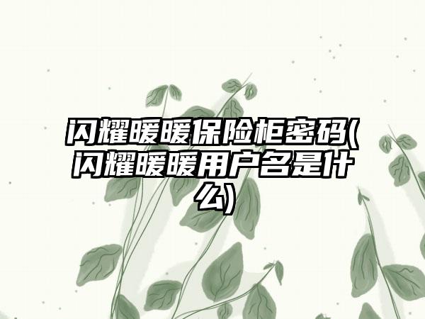 闪耀暖暖保险柜密码(闪耀暖暖用户名是什么)