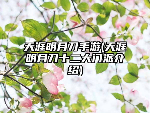 天涯明月刀手游(天涯明月刀十二大门派介绍)