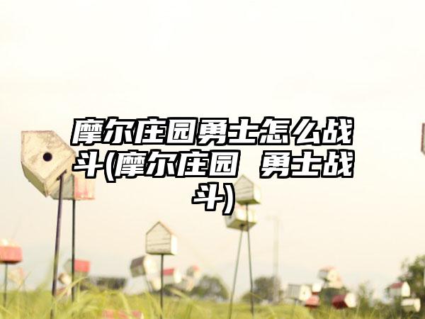 摩尔庄园勇士怎么战斗(摩尔庄园 勇士战斗)
