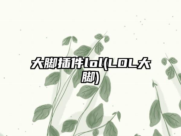 大脚插件lol(LOL大脚)