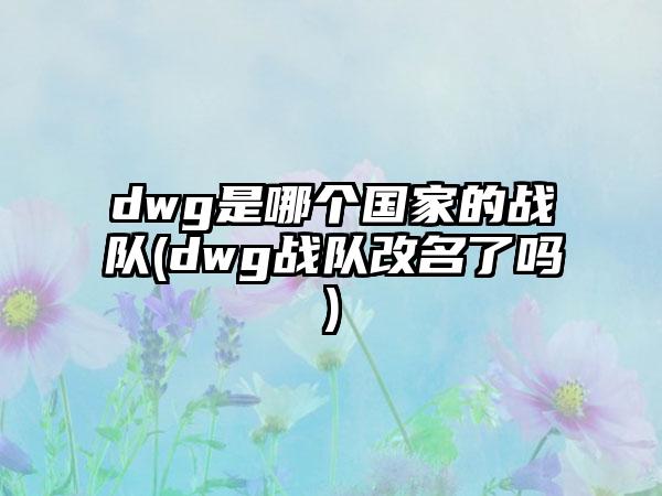 dwg是哪个国家的战队(dwg战队改名了吗)