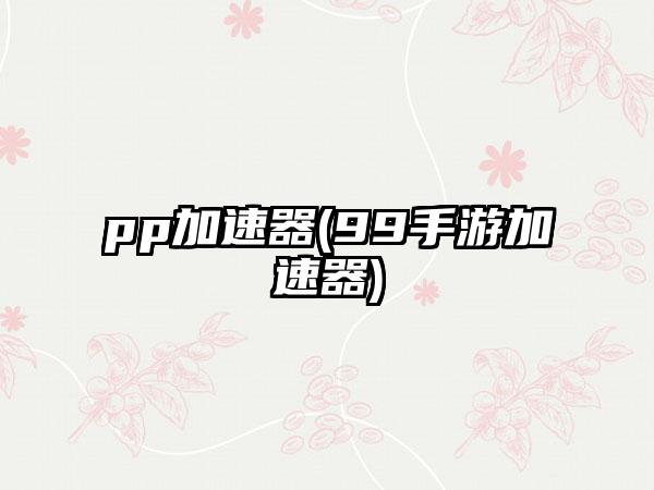 pp加速器(99手游加速器)