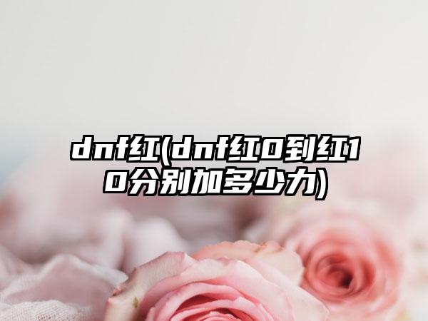 dnf红(dnf红0到红10分别加多少力)