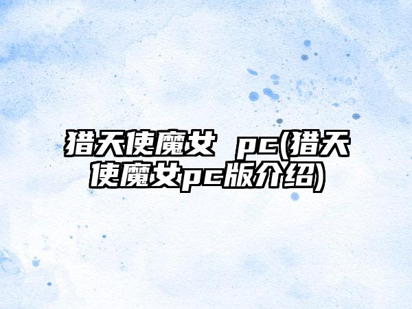 猎天使魔女 pc(猎天使魔女pc版介绍)