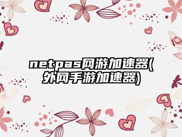 netpas网游加速器(外网手游加速器)
