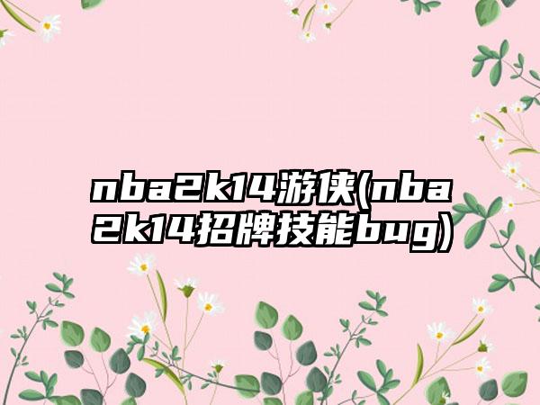 nba2k14游侠(nba2k14招牌技能bug)